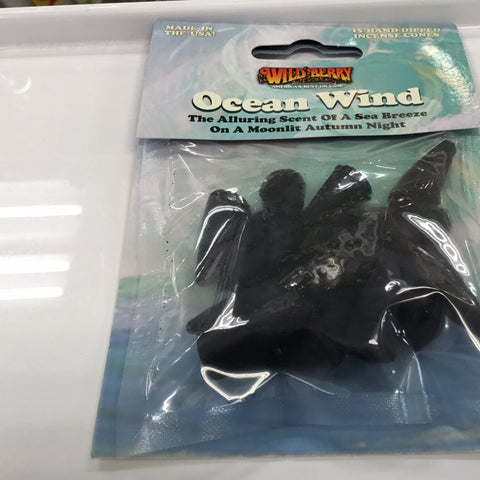 .2 ocean wind